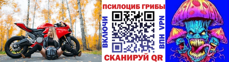 OMG онион  Азов  Псилоцибиновые грибы Psilocybine cubensis 